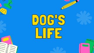 🐕Dogs Life Breeds Care Communication and Fun [upl. by Dasya]