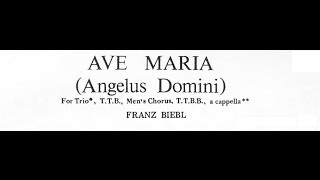 Biebl  Ave Maria Angelus Domini for Mens Chorus with score [upl. by Gerrilee]