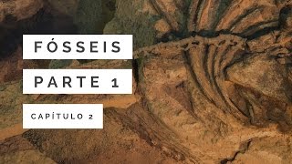 Fósseis Parte 1  A Grande Catástrofe 2 [upl. by Broeker]