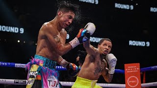 Gervonta Davis vs Mario Barrios  Full Fight Highlights HD [upl. by Vasileior]