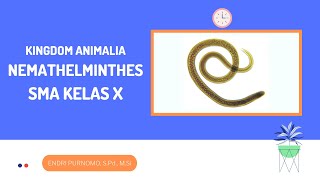 NEMATHELMINTHESCACING GILIGKINDOM ANIMALIADUNIA HEWANINVERTEBRATAANIMAL KINGDOMSMA KELAS 10 [upl. by Nataline]