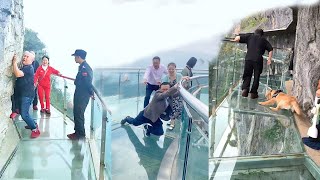 😱Scariest Cliffside Glass Walkway😂People dare to walk Amazing chinese landscape [upl. by Witt544]