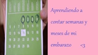 Como contar semanas y meses de tu embarazo [upl. by Notsuoh]