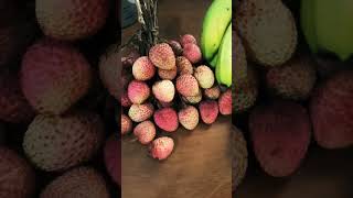 seasons first litchilitchi fruitlover everyone youtubeshort subsribe [upl. by Dotty]