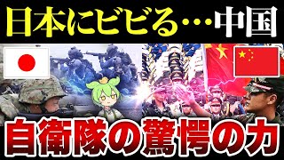 日本VS中国軍事力！本当のquot怖さquotはここにあった 中国がビビる日本の隠れた力源【ずんだもん世界情勢解説】 [upl. by Irpac]