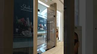 Luxury Optical Experience at MAGRABI DFC Mall  Crafted by Pure Decor [upl. by Yhotmit]