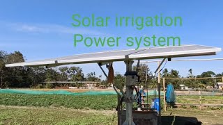 Solar irrigation in vegetable garden [upl. by Ailongam]