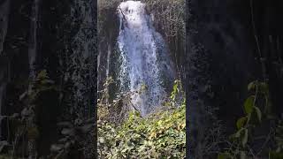 Chasing Waterfalls Kravica in Bosnia 4K waterfall kravicawaterfalls kravicewaterfalls nature4k [upl. by Janene]