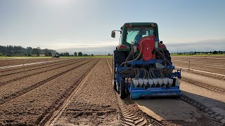 Tour Stop 5 Planting Millions of Bare Root Pine Seeds [upl. by Ahsatal398]