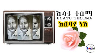 Esatu Tesema Abebaye Neshi እሳቱ ተሰማ አበባየ ነሺ DawitTsige [upl. by Huba]