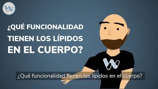 ¿Cuál es la funcionalidad de los lípidos en el cuerpo humano Beneficios e historia de los lípidos [upl. by Eekorehc422]