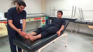 Neurological examination of the lower limb [upl. by Dnomed]