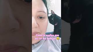 Mi gata me quiere acicalar youtube shorts video youtubeshorts ytshorts foryou blackcat [upl. by Ikoek455]