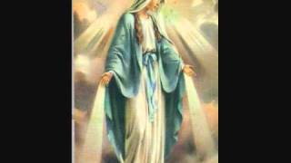 Father Francis  Hail Queen of Heaven [upl. by Xonk]