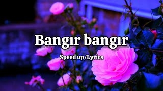 Gülşen  Bangır Bangır Speed upLyrics [upl. by Sev716]