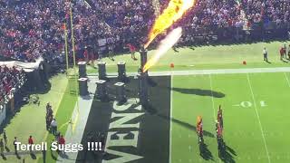 Ravens VS Steelers  Vlog 4 [upl. by Iah82]