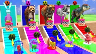 Animal cage game with dinosaur tiger donkey zebra saber tooth cat transfiguration funny 3d animals [upl. by Anabal]