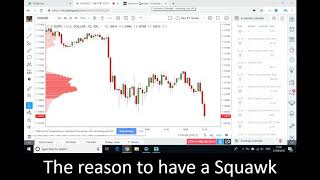 Why use a forex squawk with your trading [upl. by Scrivings]