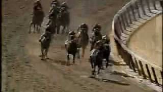 Victory Gallop  1998 Belmont Stakes [upl. by Eahsan]