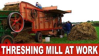 Threshing the Harvest 1960s Style in Ireland using Vintage Fordson Major Tractors [upl. by Eiderf]