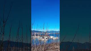 Vancouver amp Parked Boats 🛥️ vancouver boat [upl. by Lennahs922]