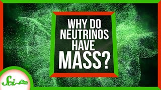 Why Do Neutrinos Have Mass A Small Question with Huge Consequences [upl. by Ieluuk656]