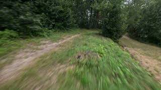 Fpv Drone  Forest Flight on Gopro12 [upl. by Blase]