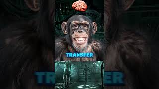 Russias Horrifying Brain Swap Human to Ape [upl. by Akihc]