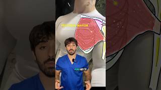 ❗️MÚSCULO QUE NO CONOCES DEL PECTORAL❗️anatomia sabiasque fisio dolor tips curiosidades [upl. by Kcorb913]