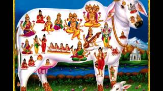 KAMDHENU COW MANTRA FOR FULL FILL DESIRES amp PLEASURE  गाय माता मन्त्र [upl. by Fredela]