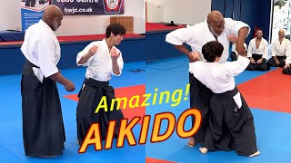 Amazing Aikido in the UK [upl. by Tiduj]