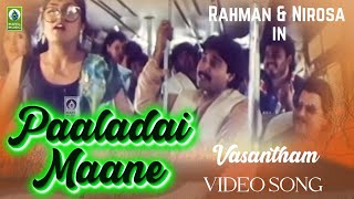 Paaladai Maane Video Song  Vasantham  Rahman  Nirosa  Radha  Mayil Music ilaiyaraja [upl. by Atsirhc]