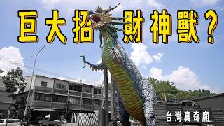 尋找動物成神的廟｜台灣真奇廟 EP43 [upl. by Dlonyer]