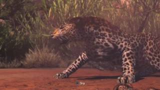 Cabelas® African Adventures ALPHA LEOPARD [upl. by Ateloj]