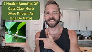 7 Health Benefits Of Una De Gato Cats Claw Herb From The Amazon Rainforest [upl. by Entruoc322]