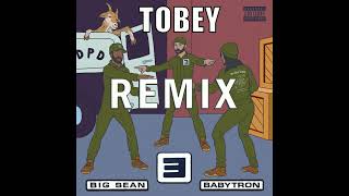 Eminem  Tobey Remix feat Big Sean amp Babytron With Drums Added [upl. by Ultun305]