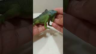 Minha coleção de animais mini análise da iguana verde da Collecta 2022 [upl. by Namsu488]