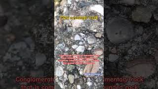 What a geologist sees geologist rocks shorts sedimentaryrocks conglomerate geology youtube [upl. by Dnalel941]