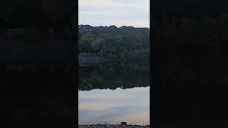 damflask réservoir mudlarking mudlark derbyshire outdoors shortsvideo history [upl. by Tedra]