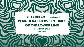 MSK S10L3  Peripheral Nerve Injuries Of The Lower Limb [upl. by Ruscio]