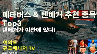 메타버스 amp 텐베거 TOP 3종목 [upl. by Staffan221]