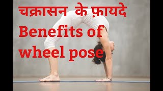 Chakrasana  Chakrasana for beginners  Chakrasana yoga  Chakrasana Benefits  Chakrasana ke fayde [upl. by Obelia]