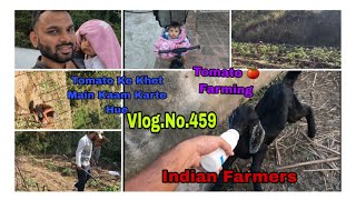 Tomato 🍅 Farming Or Usme Sabhi Log Kaam Karte HueIndianfarmersfarmingvlog organicfarming [upl. by Kella]