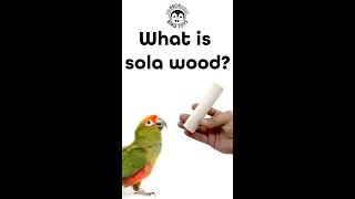 What is Sola Wood [upl. by Eerazed988]