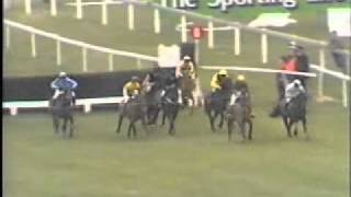 Horse Racing 1988 Foxhunters Cheltenham Certain Lightavi [upl. by Dylane]