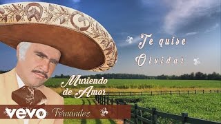 Vicente Fernández  Quisiera Saber Te Quise Olvidar Cover Audio [upl. by Marina485]