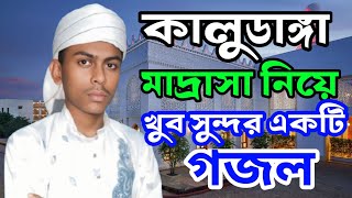 কালুডাঙ্গা মাদ্রাসা নিয়ে খুব সুন্দর একটি গজল। kaludanga madrasa niye khub sundor akti gojolbangla [upl. by Cobb]