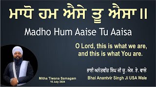 Madho Hum Aaise Tu Aaisa By Bhai Anantvir Singh Ji USA Wale [upl. by Yllim]