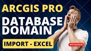 ArcGIS Pro Database Domains import excel [upl. by Nniroc]