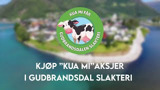 Kua Mi Aksje  Gudbrandsdal Slakteri  Ole Jonny Bekkemellem [upl. by Margo843]